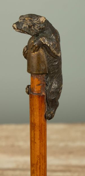 null Bronze cane knob featuring a climbing bear.
Late 19th century.
H_8 cm. 
H(total)...