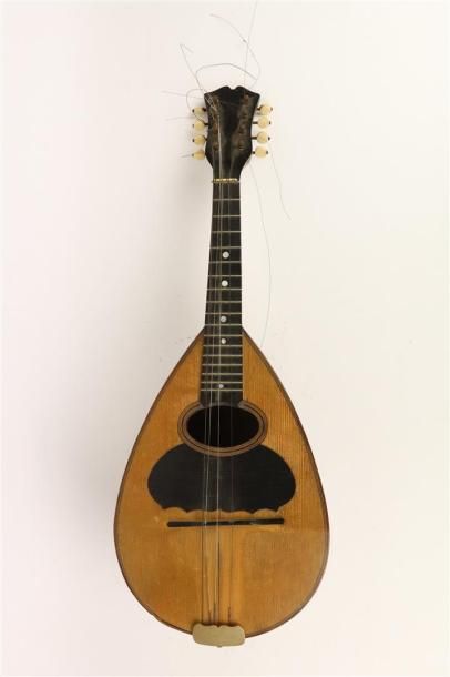 null Mandoline napolitaine par Emanuele Egildo.

Année 1908.

N°609.

H_56 cm 