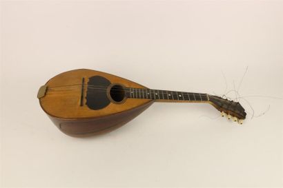 null Mandoline napolitaine par Emanuele Egildo.

Année 1908.

N°609.

H_56 cm 