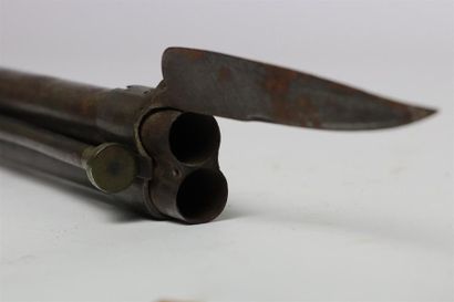 null Fusil de chasse 1830 avec baïonnette, baguette en fanon de baleine.

La platine...