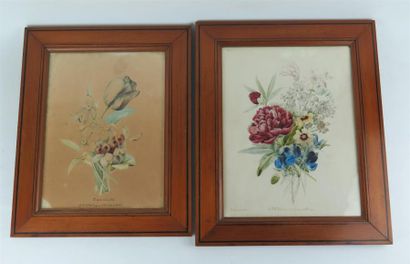 null Ecole française du XIXème siècle, 1844.

Etudes de fleurs.

Deux aquarelles...
