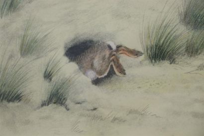 null Léon DANCHIN (1887-1938).

Cocker spaniel poursuivant un lièvre.

Estampe en...
