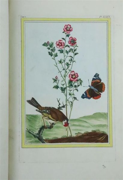null [BOTANIQUE] BUCHOZ Pierre Joseph, Collection précieuse et enluminée des fleurs...