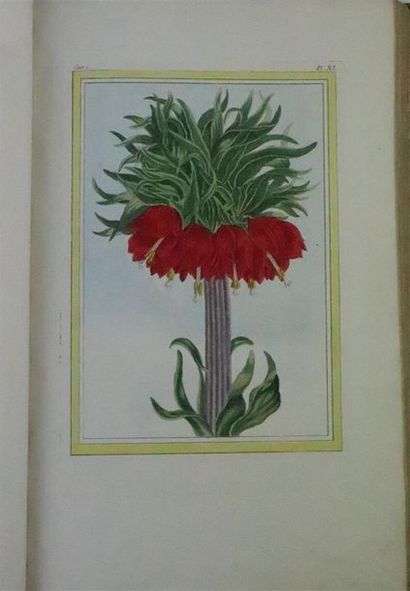 null [BOTANIQUE] BUCHOZ Pierre Joseph, Collection précieuse et enluminée des fleurs...