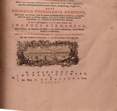 null [BOTANIQUE] RUMPH, Georg Everhard), Herbarium Amboinense [] quod et insuper...