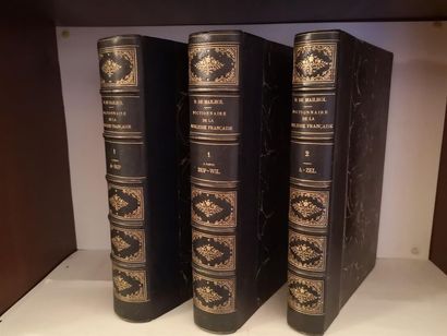 null DAYRE DE MAILHOL, Camille-Philippe, Dictionnaire historique et héraldique de...