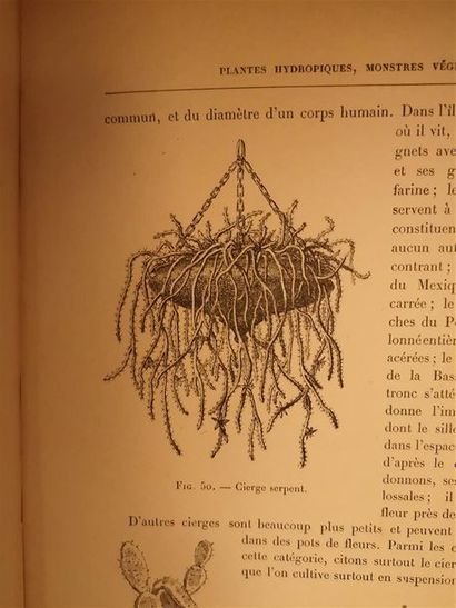 null Deux livres sur les plantes :

 Rambosson, Jean, Histoire et légende des plantes...