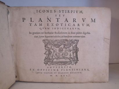 null [BOTANIQUE] Anonyme [DE L'OBEL, Matthias], Icones stirpium, seu Plantarum tam...