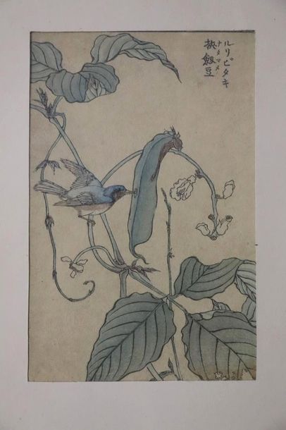 null JAPON, Période Meiji (1864-1912).

Estampe en couleurs (page d'album) à décor...