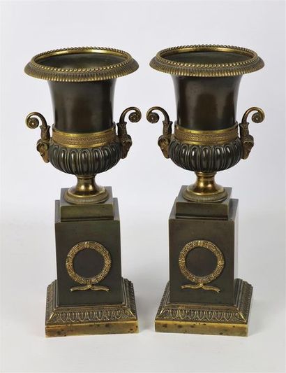 null Paire de vases Medicis en bronze à patine brune et bronze doré, les anses en...