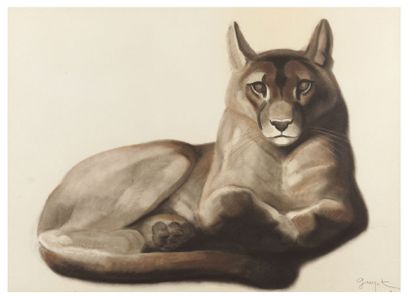Georges Lucien GUYOT (1885-1973) 
Lying Lioness Charcoal and stump
drawing, signed...