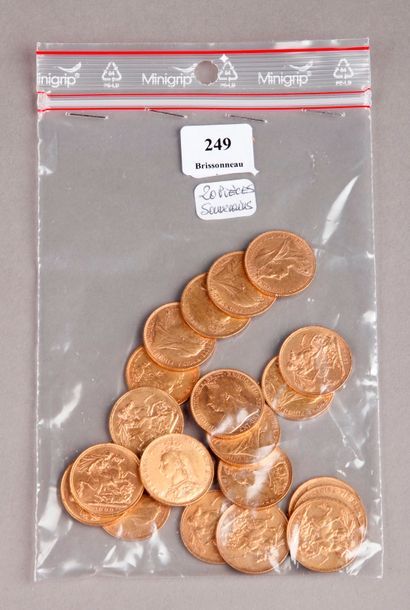 null TWENTY ENGLISH QUEEN VICTORIA'S GOLDEN PINS (Legal fees of 12% excl. VAT) (Coins...