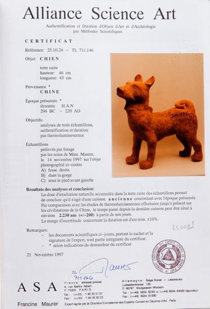 null Han style terracotta dog (accident and missing a leg). H.47 cm
Thermoluminescence...