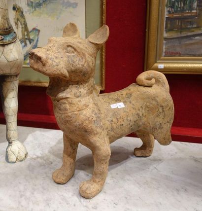 null Han style terracotta dog (accident and missing a leg). H.47 cm
Thermoluminescence...