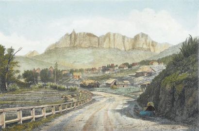 ROUSSIN, A Album de la Réunion (planches de l'île Maurice). 1878. Lot de neuf planches...