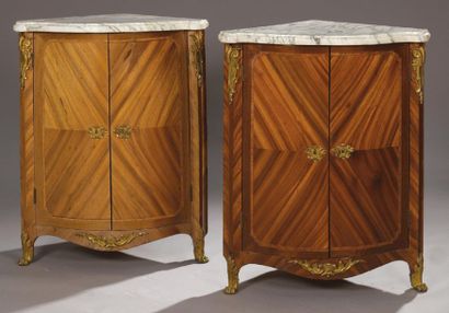 null PAIR OF ENCLOSURES in satin and amaranth veneer with rosewood frames and fillets,...