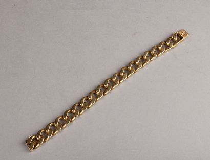 null 
Large curb chain in yellow gold, flattened forçat link.



Pds: 84 g
