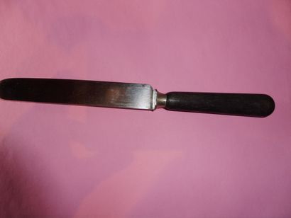 null SIX LARGE KNIVES blackened wood handle brass ferrule steel blade