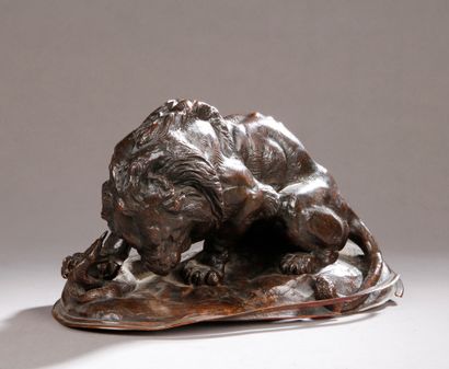 null After Antoine-Louis BARYE (1795-1875)

Lion with a snake called Lion of the...