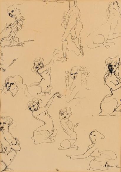 Léonor FINI (1908 - 1996) Etudes de femmes et sphinges Plume. (petit trou). 37 x...