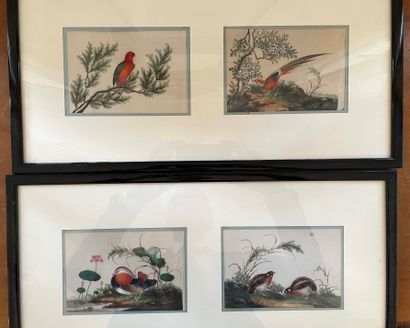 null China, 20th century, Birds.
Seven rice papers in three frames under glass.
11...