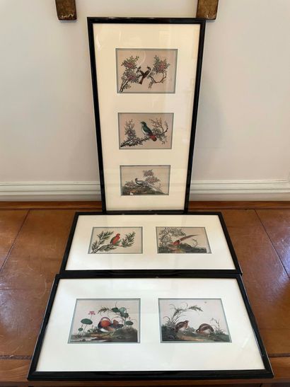 null China, 20th century, Birds.
Seven rice papers in three frames under glass.
11...