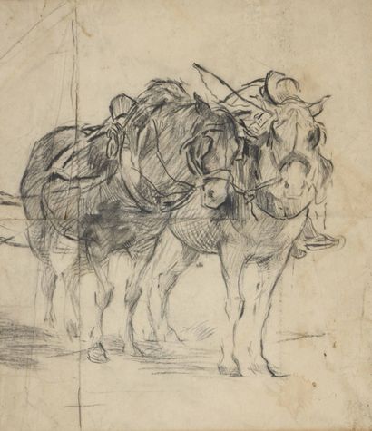 null School end of XIXth-beginning of XXth century
Horses harnessed
Charcoal drawing...