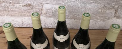 null 5 bottles PULIGNY-MONTRACHET 1er Cru Les Pucelles 1993 - Paul PERNOT Labels...