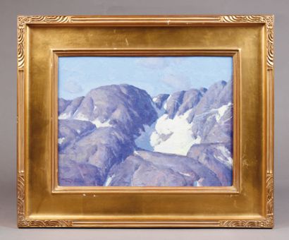 Daniel ROBINSON (né en 1963) Montagnes enneigées
Huile sur isorel, signée en bas...