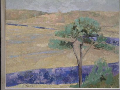 DEBAINS THÉRÈSE (1907-1975) Paysage. Huile sur toile. Cachet en bas à gauche. 50...