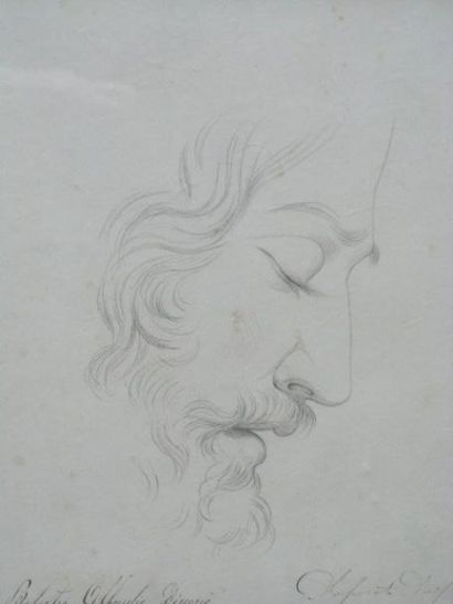 École italienne Profil d?homme Crayon, signé en bas à droite. 28 x 22cm