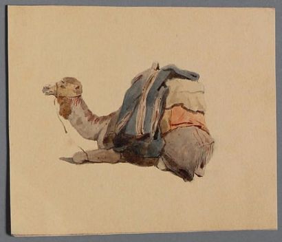 MONTFORT (Antoine Alphonse). 1802-1844 Chameau couché. Aquarelle originale; 17 x...