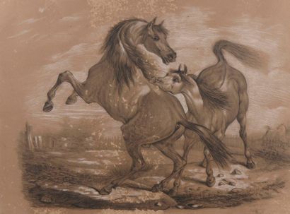 École Française du XIXe siècle Combat de chevaux Dessin au crayon et rehauts de craie...