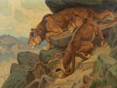 Georges Frédéric ROTIG (1873-1961) Lion et lionne à l'affût. Huile sur toile, encadrée,...