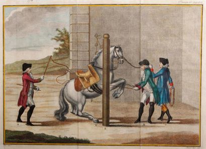 null ÉQUITATION MANÈGE-ESCRIME. Huit gravures en couleurs du XVIIIe siècle; sept...
