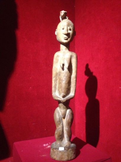 AFRIQUE Statue masculine stylisée en bois clair. Congo. H. 81 cm
