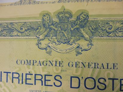 null COMPAGNIE GENERAL DES HUITRIERES D’OSTENDE action N° 357 sur 5000 datée 1882...