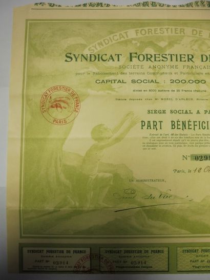 null SYNDICAT FORESTIER DE FRANCE action N° 2914 sur 8000 datée de 1907 illustration...