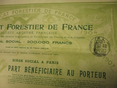 null SYNDICAT FORESTIER DE FRANCE action N° 2914 sur 8000 datée de 1907 illustration...