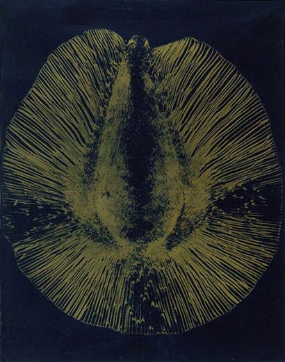 ALBIN-GUILLOT (Laure). Micrographie décorative. Préface de M. Paul Léon, Paris, Draeger,...