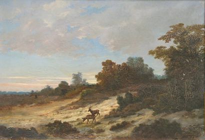 Emile DESMOULINS (XIXe siècle) Cerfs dans la forêt de Fontainebleau Huile sur toile....