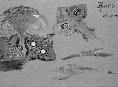 MEHEUT MATHURIN (1882-1958) Poissons, crabes et papillons. Crayon, aquarelle et gouache....