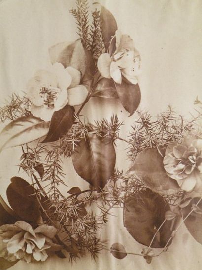 Adolphe BRAUN (1821-1877) Compositions florales, ca. 1860. Quatre tirages albuminés...