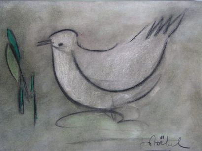 STOEBEL EDGAR, née en 1909 La colombe Pastel, signé en bas à droite. 23x31cm