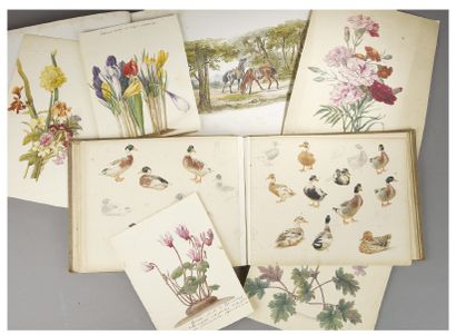 Jean-Richard GOUBIE (1840-1899) ALBUM contenant six planches aquarellées représentant...
