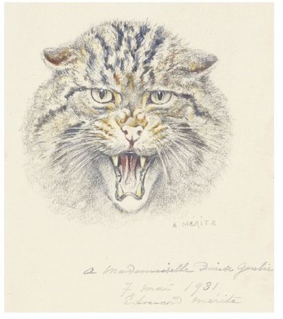 Edouard MERITE (1867-1941) Tête de chat sauvage feulant
Dessin au crayon aquarellé,...