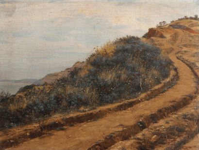 Jean-Richard GOUBIE (1840-1899) Maquis sur la côte Algérienne
Deux huiles sur toile.
27...