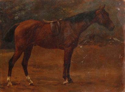 Jean-Richard GOUBIE (1840-1899) Cheval de selle de profil bai et trois balzanes,...