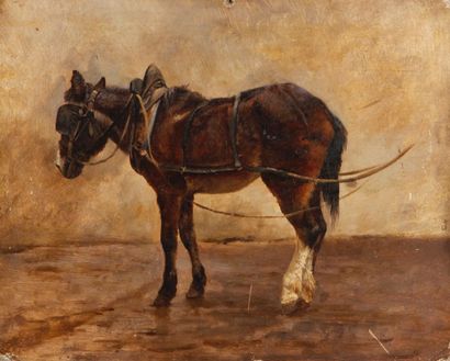 Jean-Richard GOUBIE (1840-1899) Mule harnachée, vue de profil
Huile sur isorel.
(Petits...