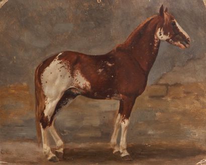 Jean-Richard GOUBIE (1840-1899) Quarter-Horse pie alezan moucheté, vu de profil
Huile...